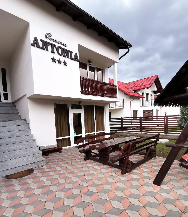 Pensiunea Antonia Vatra Dornei Exterior foto