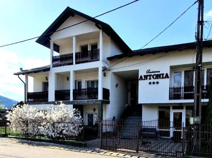 Pensiunea Antonia Vatra Dornei Exterior foto